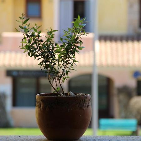 Appartamento Le Vele Porto San Paolo  Exterior foto